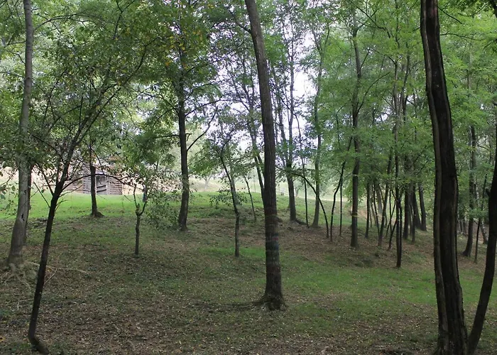 Equin'ozio Castellamonte